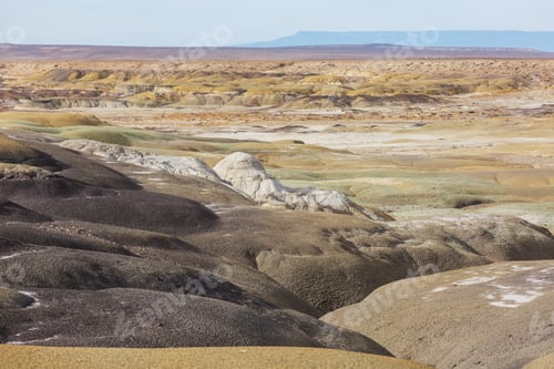 Preview: Bisti