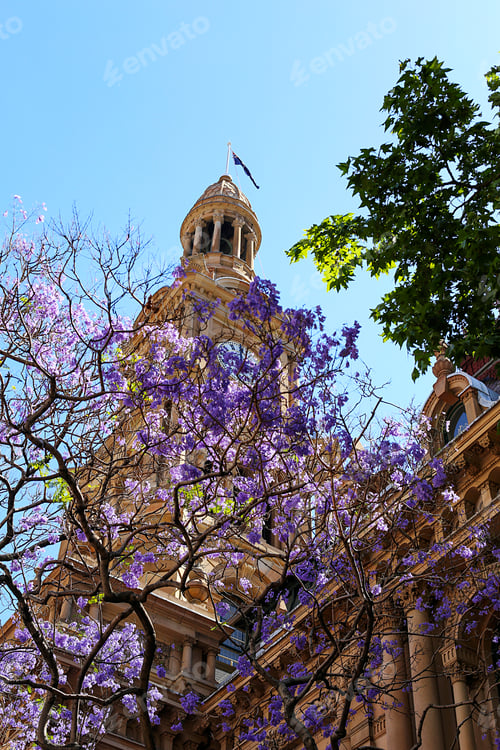 Preview: Clock tower at Central station in Sydney, Australia