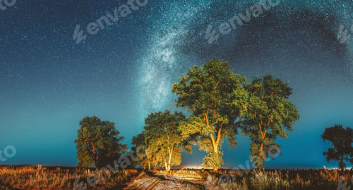 Preview: Milky Way Galaxy In Night Starry Sky Above Tree In Summer Forest. Glowing Stars Above Landscape