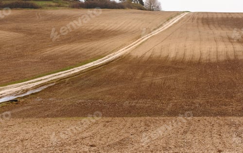 Preview: Agricultural scenery with a newly planted crop in chalky soil