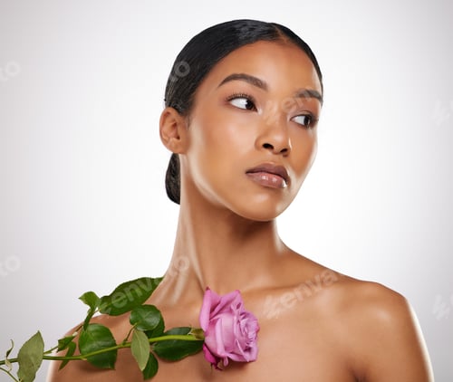 Preview: The prettiest rose in the garden