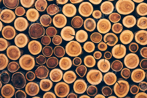 Preview: Stacked wood logs as texture