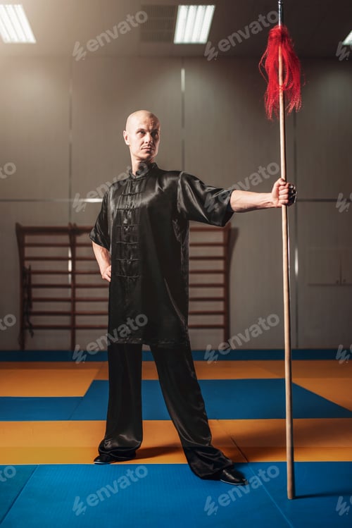 Preview: Wushu fighter poses with lance, martial arts