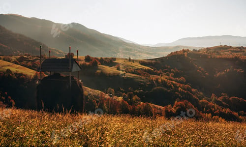 Preview: Raw wild nature. Majestic view of Carpathian mountains, autumn season