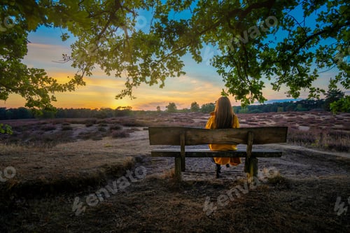 Preview: Back view of female sitting on wooden bench in park during sunset