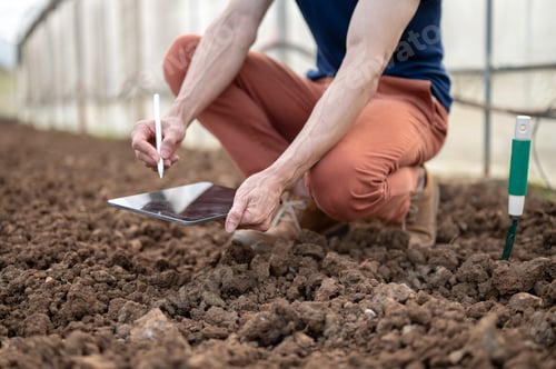 Preview: Close up of farmer researcher man holding tablet writing over soils sitting crouching in greenhouse.