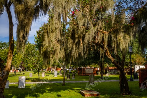 Preview: A View Of A Colonial Era Cemetery During The Daytime.