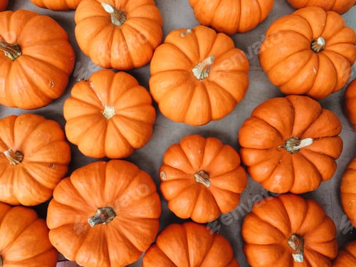 Preview: View from above pumpkin flat lay