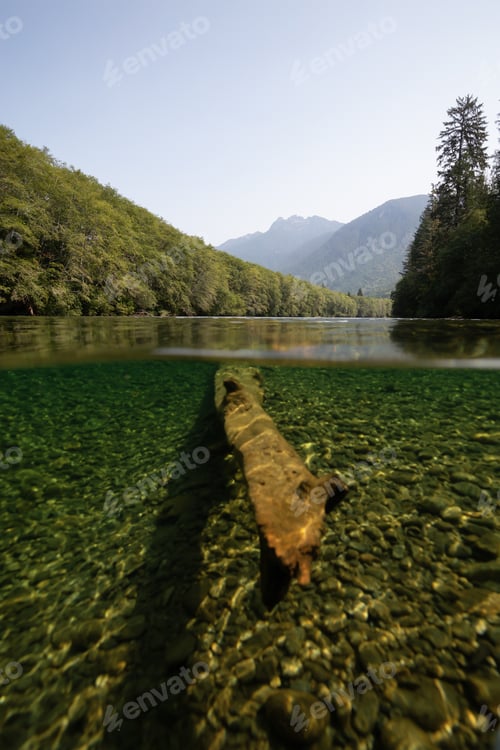 Preview: Over and Under picture of a river during a vibrant sunny summer day