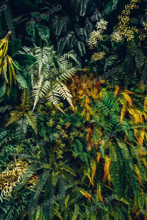 Preview: Close-up view of a group of tropical green leaves, textured and abstract background.