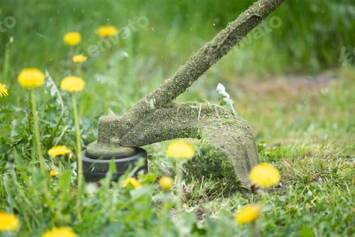 Preview: A lawn mower is cutting green grass