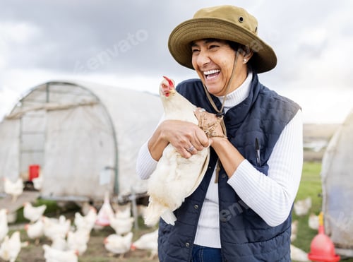 Preview: Happy farmer, woman and chicken for agriculture in field, environment and countryside. Poultry farm