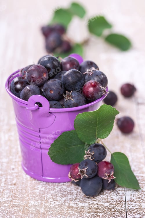Preview: Wild berries in a bucket