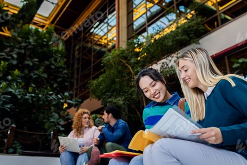 Preview: Diverse group of student siting in campus learning together.