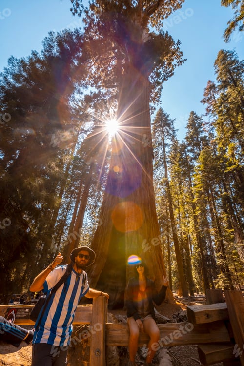 Preview: A couple in the giant General Sherman Tree tree in Sequoia National Park