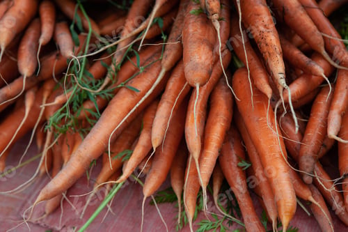Preview: Fresh and natural vegetable for an healthy dinner