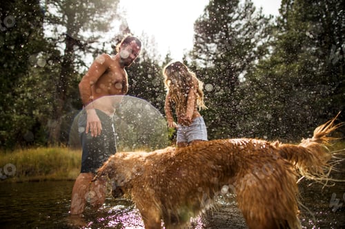 Preview: Dog splashing young couple in river, Lake Tahoe, Nevada, USA