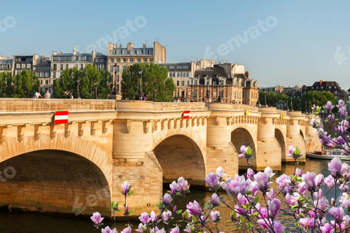 Preview: Pont Neuf, Paris, France