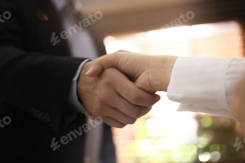 Preview: Business people shaking hands in office, closeup