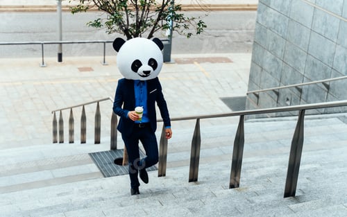 Preview: Storytelling image of a business man wearing a giant panda head
