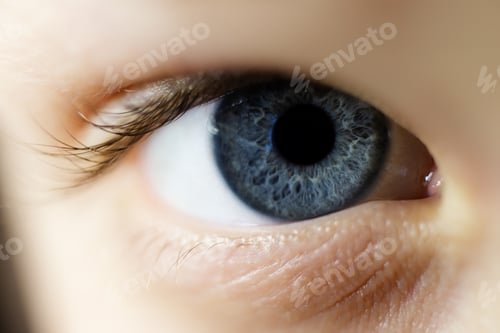 Preview: Macro photography of the blue eye.