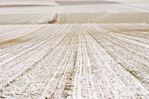 Preview: Winter landscape in southern germany, image as background, wallpaper, photo with detail