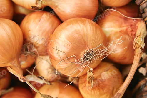 Preview: Fresh onions harvest in wooden basket on grass.