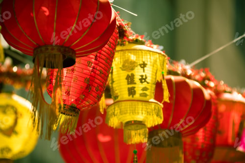 Preview: Lanterns for Lunar New Year in Hong Kong