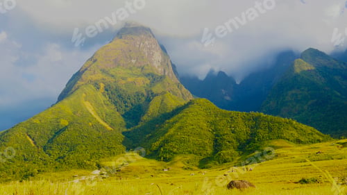 Preview: Rice terrace Field Green agriculture beautiful landscape. Ecosystem rice paddy field Vietnam