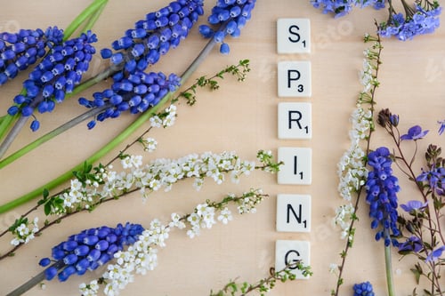 Preview: The word spring laid out on tile letters with fresh flowers on a light background