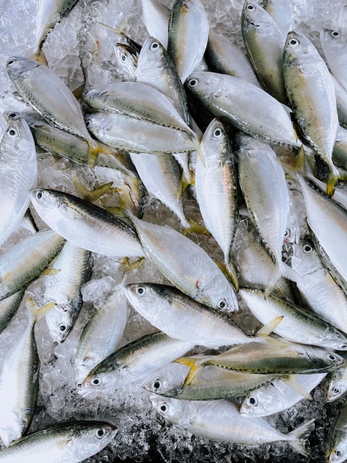 Preview: fresh fish on top flatlay
