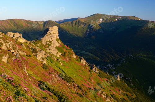 Preview: Morning in the Mountains