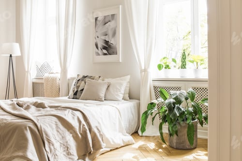 Preview: Plant next to bed with pillows and blanket under poster in bedro