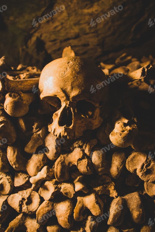 Preview: Vertical closeup shot of the skulls under the lights in the Catacombs of Paris, France