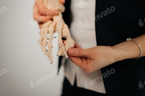 Preview: presentation of human foot with drawing of bones on the skin, and model of foot - comparison