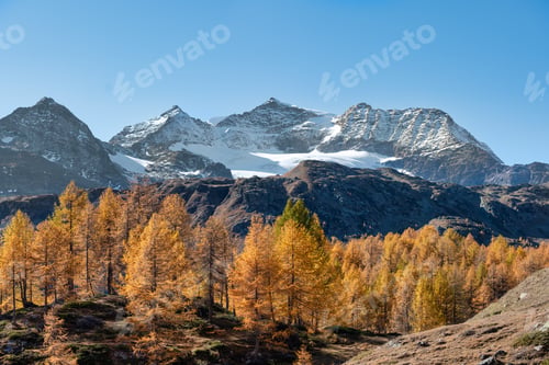 Preview: Autumnal landscape in the Swiss Alps