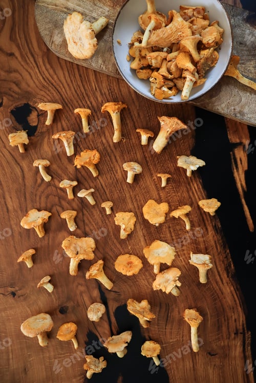 Vista previa: Healthy mushrooms freshly picked. Chanterelle.