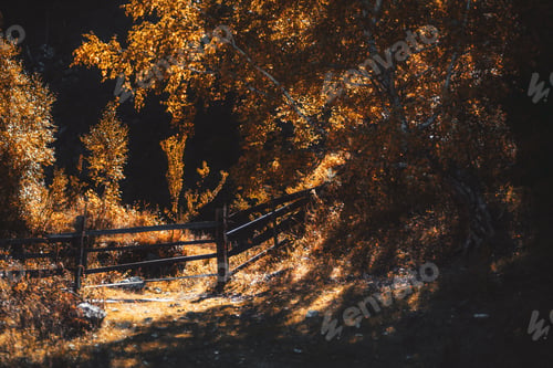Preview: Autumn scenery with a fence