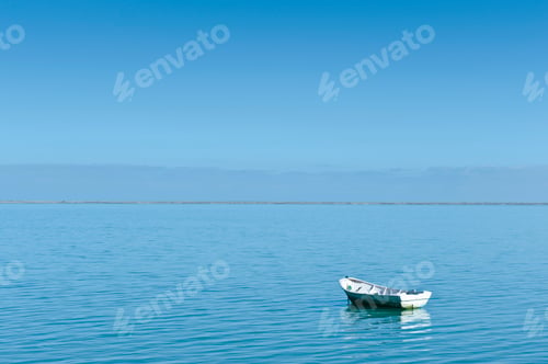 Rowing Boat Moored in Harbor