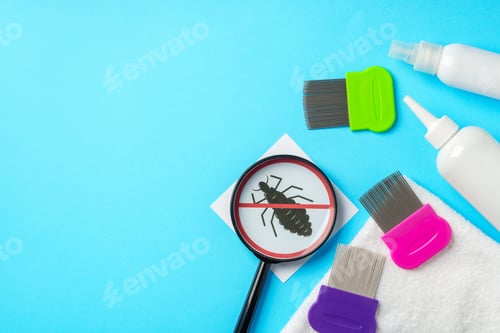 Preview: Anti lice equipment on blue background top view