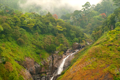 Preview: Cheeyappara Waterfalls, Munnar, Kerala, India