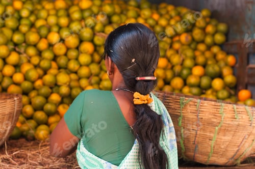 Preview: Woman sorting orange for packaging at farmer's market