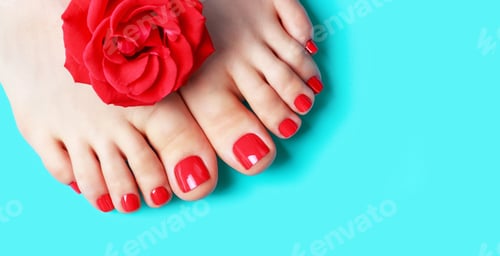 Preview: Female legs with red pedicure and a flower on blue background, copy space.