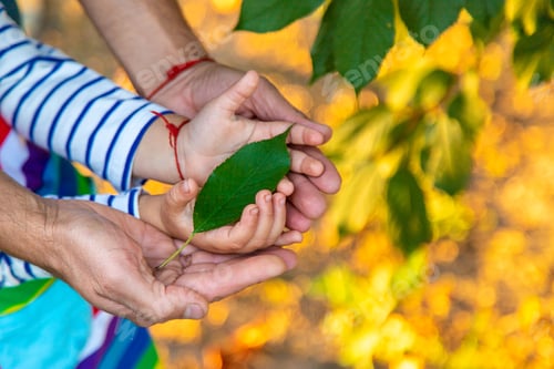 Preview: children and parents hold a piece of leaf in their hands. Selective focus.