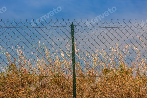 Preview: Razor and barbed wire fence