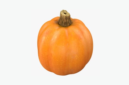 Close-up of a round pumpkin with pointed stem