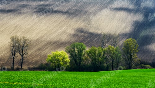 Preview: Detail scenery at South Moravian field during spring, Czech republic.