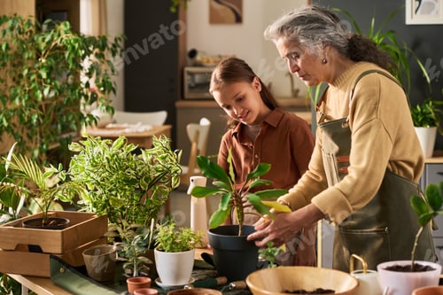 Preview: Senior Woman Demonstrating Potting Techniques to Smiling Young Girl