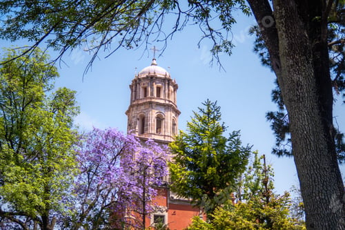 Preview: Jacaranda tree purple flowers background of Temple of San Francisco de Asis in Queretaro Mexico