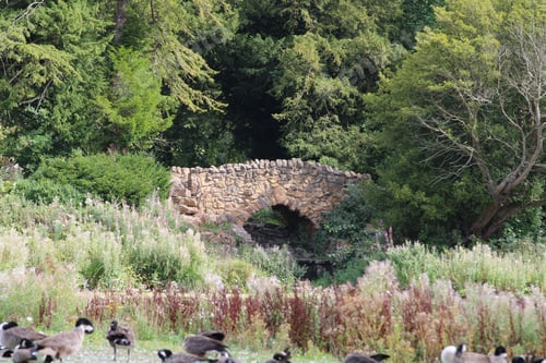 Preview: Old stone bridge surrounded by lush greenery. Hardwick Hall Country Park, England, UK.